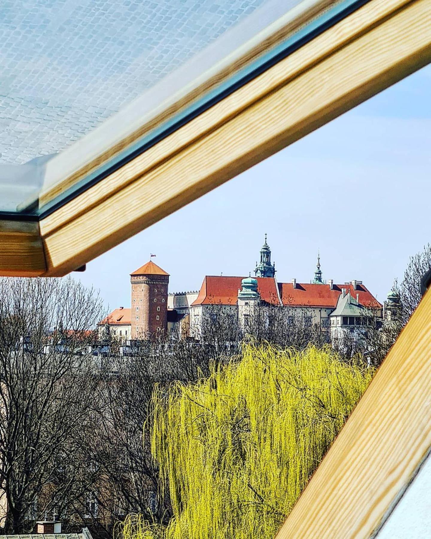 Rubinstein Krakow